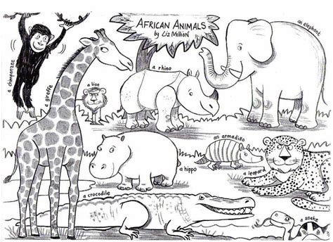 South africa known as the rainbow nation and home to the big five. Image result for african animals coloring | Animal ...