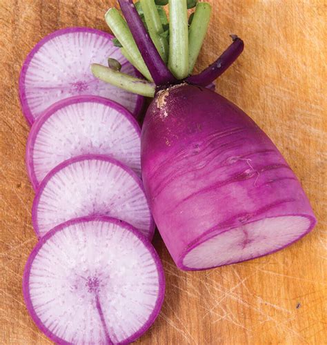 Root vegetables with dark flesh include beets, beetroot(different kind of beet), some carrots are red and purple, and some potatoes are red, purple or blue. Daikon Radishes · Mini Purple - Ambler Farm