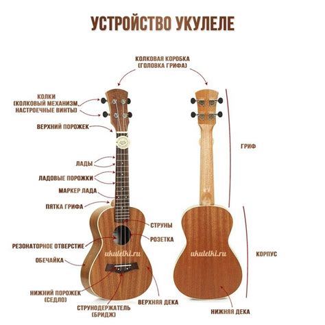 Как научиться играть на укулеле самостоятельно с нуля