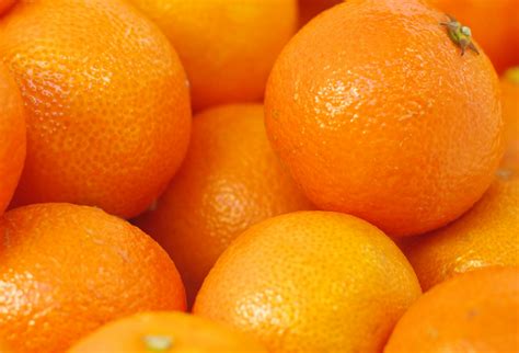 Egipt: eksport pomarańczy wciąż rośnie - Fresh-market.pl