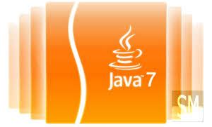 Java umożliwia pobieranie aplikacji przez sieć i uruchamianie ich w strzeżonym piaskownicy. Java Runtime Environment JRE 8 Update 5 Final Download