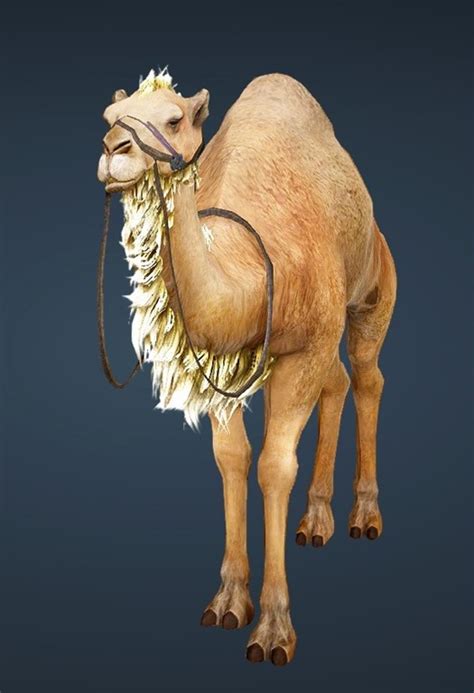 Camels are a type of mount that can be found in the region of valencia. BDO Fashion | Brown Camel (Black Desert Online)