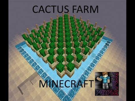 Today i show you how to make a quick and easy storage system for your cactus farm! Automatic Cactus Farm - Speed Build (Minecraft) - YouTube