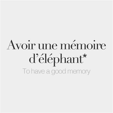 French Words — *Literal meaning: To have an elephant’s memory. | French ...