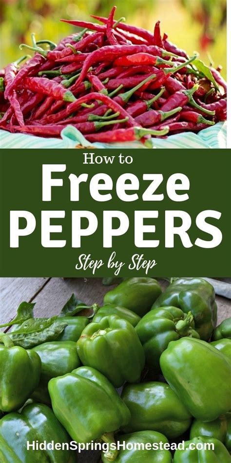 The pepper pieces should stay fresh for up to a week. You Can Learn How to Freeze Fresh Peppers | Stuffed ...