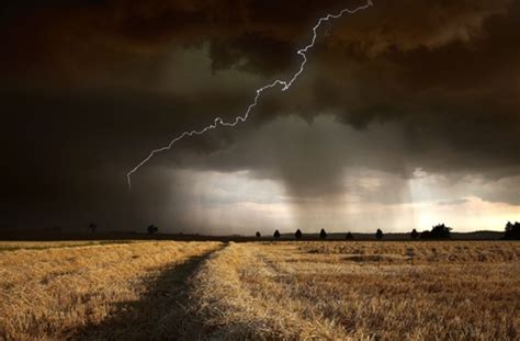 It was founded in 1829 and is organized into 10 faculties. Unwetter: Der Mann, der aufs Gewitter wartet - Stuttgart ...