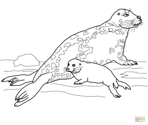 Click the leopard seal coloring pages to view printable version or color it online (compatible with ipad and android tablets). Download Leopard Seal coloring for free - Designlooter ...