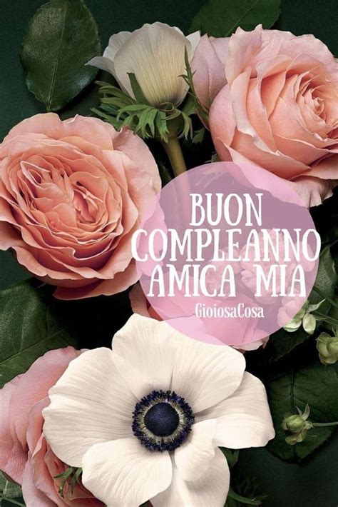 Check spelling or type a new query. Pin su Buon compleanno