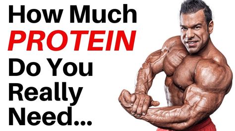 You can mix it into soups, salads or frittatas, serve it as a side dish with your meat dishes, or make. How Much PROTEIN Do You Really Need... | Easy Cheat Sheet ...