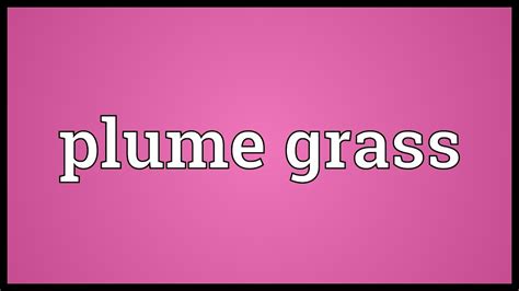 In the tall grass is nothing more than a serviceable dread concoction as netflix tries to make hay while the sun shines on stephen king adaptations. Plume grass Meaning - YouTube