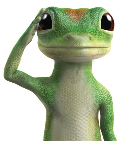 Home › forums › miscellaneous › which geico mascot is your favorite? Geiko Gecko | Dog insurance