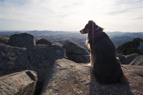 Hike the wichita mountains wildlife refuge. Wichita Mountains Wildlife Refuge : CampingandHiking