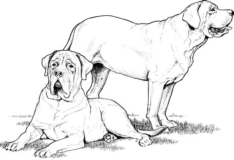 363 best coloring book dogs images in 2019 coloring books. Dog Breed Coloring Pages