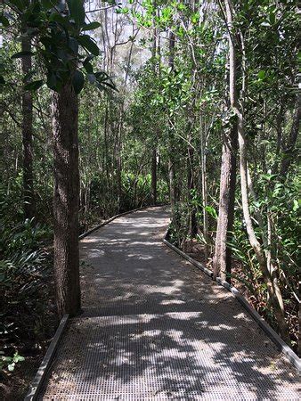 We have two excellent synthetic grass courts available for club members and guests. Maroochy Wetlands Sanctuary Reserve (Bli Bli): UPDATED ...