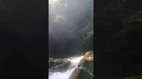 Air terjun lata iskandar merupakan destinasi seterusnya yang perlu anda terokai apabila bercuti ke perak, dihiasi dengan kesuburan flora dan fauna pasti memberi ketenangan kepada pengunjung apabila mendengar deruan bunyi air terjun yang turun. Sejuk Air Terjun Lata Kekabu Lenggong - YouTube