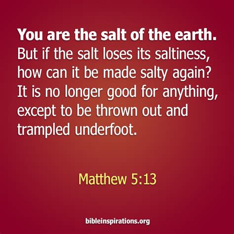 You Are the Salt of the Earth - Bible Inspirations