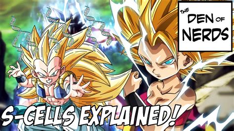 Dragonball figures is the home for dragon ball figures, toys, gashapons, collectibles, and figuarts discussion. Dragon Ball Super's S-Cells Explained! Super Saiyan Has a ...