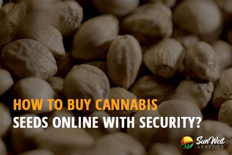 Well you're in luck, because here they come. How to Buy Cannabis Seeds Online with Security? | SunWest ...