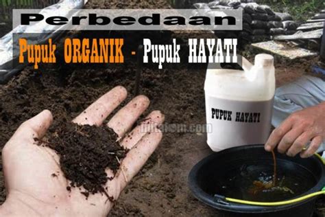 Bahan organik secara langsung merupakan sumber hara n, p, s, unsur mikro maupun unsur hara bahan organik dalam tanah merupakan fraksi bukan mineral yang ditemukan sebagai bahan. Ini 9 Perbedaan Pupuk ORGANIK dan Pupuk HAYATI yang Wajib ...