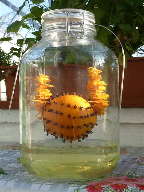 We did not find results for: AdrianoBotosani: Liquori fatti in casa. Liquore all'arancio.