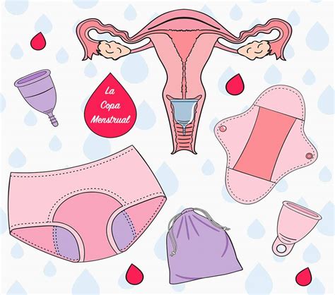 Conoce nuestros vuelos disponibles, conectando a través de panamá, ingresando a Copa menstrual ¿qué tipos hay y cuáles son sus ventajas