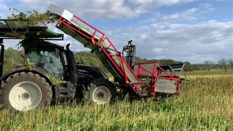 This machine separates the tops. Cbd hemp harvest - YouTube