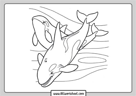 Timely whale colouring pictures genuine humpback coloring page. Orca Killer Whale Coloring Pages