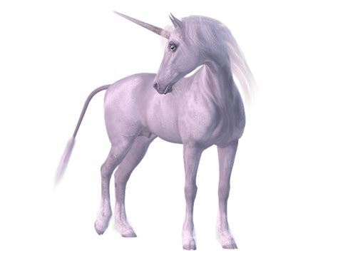 Maybe you would like to learn more about one of these? Silikon Vadisi Sözlüğü: Unicorn ve Decacorn Nedir ...