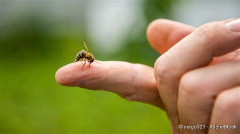 Im folgenden erläutern wir genauer, wann du welche nummer anrufst. Anaphylaktischer Schock (Anaphylaxie): Ursachen, Hilfe ...