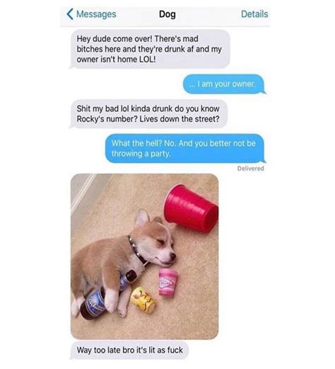 Whether you're new to the language or are just looking for the best jokes to surprise your friends with, here are 11 spanish phrases that'll make you and your friends laugh your. 20 Funny Text Messages That Will Make You Laugh Out Loud ...