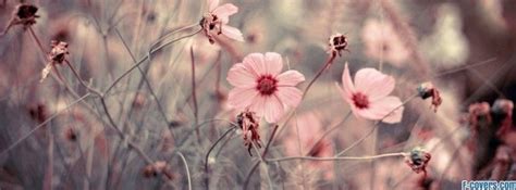 Are you looking for free vintage facebook cover photos? Vintage Flower Facebook Covers Flowers macro 14 facebook ...