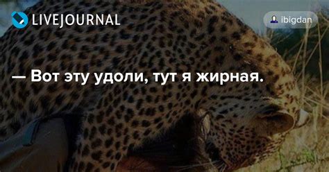 We did not find results for: Вот эту удоли, тут я жирная.: ibigdan — LiveJournal