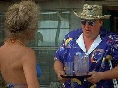 The home of the brown family: Information Overload: #49 - Summer Rental - 1985