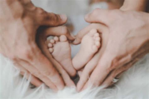 Nuestro equipo care méxico y nuestro abogado trabajarán estrechamente con usted para asegurarnos de que usted entienda perfectamente las leyes de gestación sustituta. Precios de Gestación Subrogada en México y USA | SERMA ...