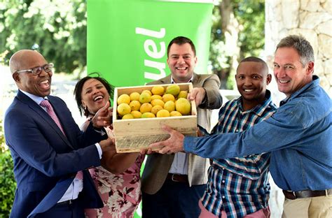 Hand creams amalgamating the best hand creams so you don't have to! Addo workers reap fruits of labour