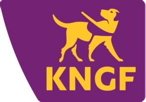 Guide dogs for veterans is one of the many valuable programs offered by the royal dutch guide dog foundation (kngf). CORPORATE DONOR - Amsterdam Development