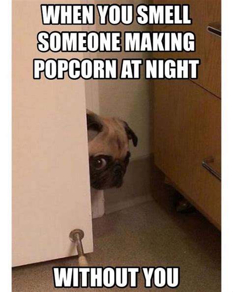 Maybe you would like to learn more about one of these? 20 Cheesy And Amusingly Funny Memes For Your Husband ...