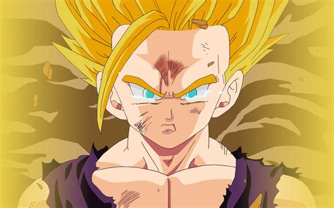 Use the following search parameters to narrow your results Dbz Wallpapers HD Gohan (71+ images)