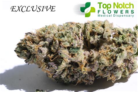 4.8 star average rating from 23 reviews. Top Notch Flowers - Alternative Medicine Foster City ...