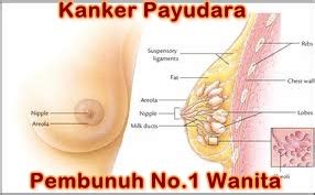 Berikut penyebab adanya benjolan di leher atau bengkak sebelah kanan, kiri, belakang, bawah telinga dan dagu pada anak. Obat Herbal Kanker Payudara | Obat Herbal Kanker Payudara ...