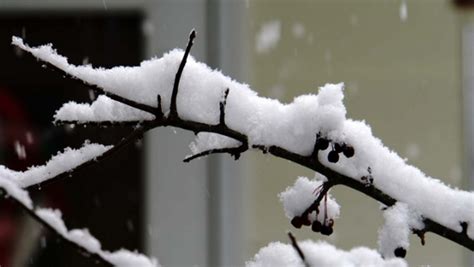 Find snowfall news headlines, photos, videos, comments, blog posts and opinion at the indian express. Snow totals from today in Indiana and Ohio