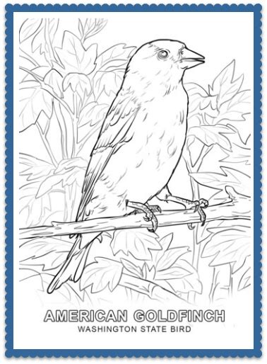 When autocomplete results are available use up and down arrows to review and enter to select. State Bird Coloring Pages by | Bird coloring pages ...