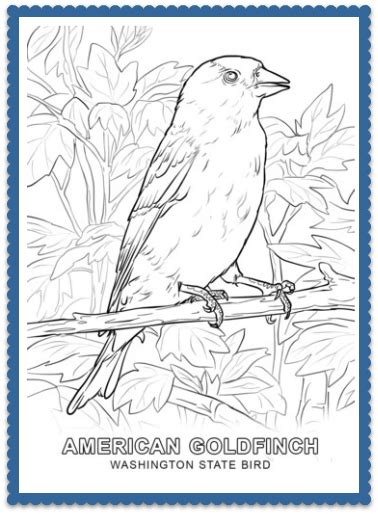 When autocomplete results are available use up and down arrows to review and enter to select. State Bird Coloring Pages by | Bird coloring pages ...