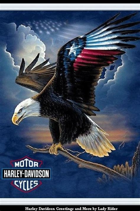 Maybe you would like to learn more about one of these? Pin by Rick Rodriguez on American flag wallpaper in 2020 | Bald eagle, Eagle pictures, Harley ...