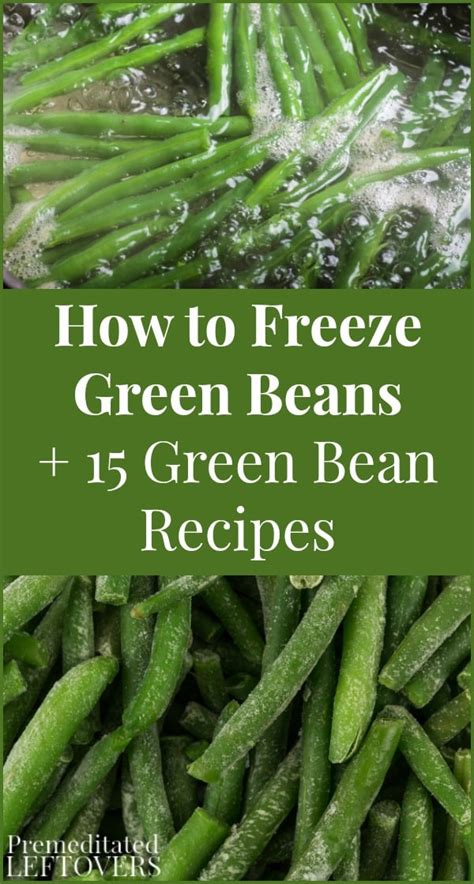 Here in winnipeg, bush beans are ready for picking by mid to end of july. 15 Green Bean Recipes + How to Freeze Green Beans