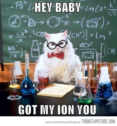 Leave a comment below!be sure to check out our nobody special shuffle videos. Hey baby… | Chemistry jokes, Science jokes, Chemistry cat