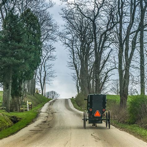 Get directions, reviews and information for the amish mall in elkhart, in. On Puppy Mills, Child Abuse, and Incest within the Amish