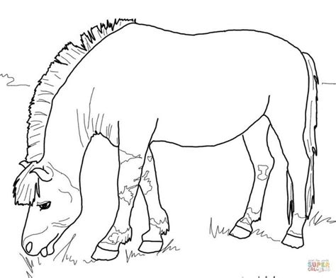 (kids, if you have any problems with printing the coloring pages, be sure to ask an adult, or older brother or sister, for some help.) og engelen sa til dem: Norwegian Fjord Horse Coloring Pages | Horse coloring ...