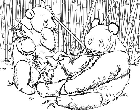 Bear cubs with their mother. Panda Coloring Pages - Best Coloring Pages For Kids