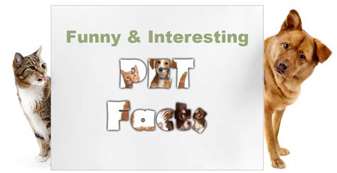 Fun Pet Facts - Veterinarian Columbus GA